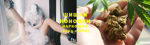 mdpv Богородск