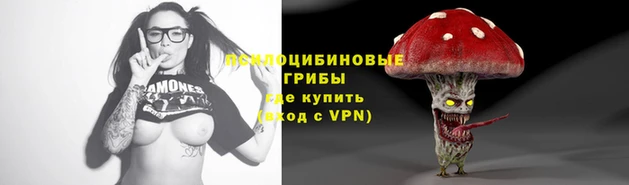 mdpv Богородск