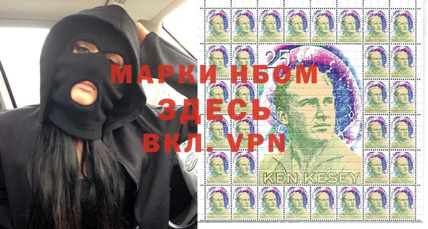 твердый Пересвет